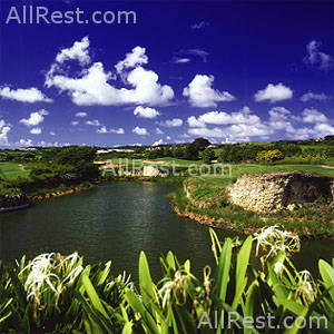 Coral Reef Club 24